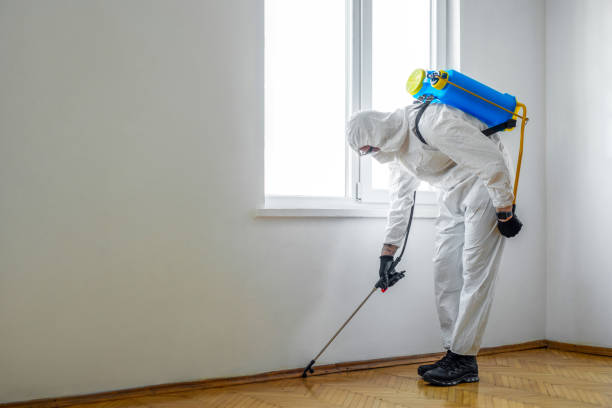 Professional Pest Control in Steamboat Springs, CO